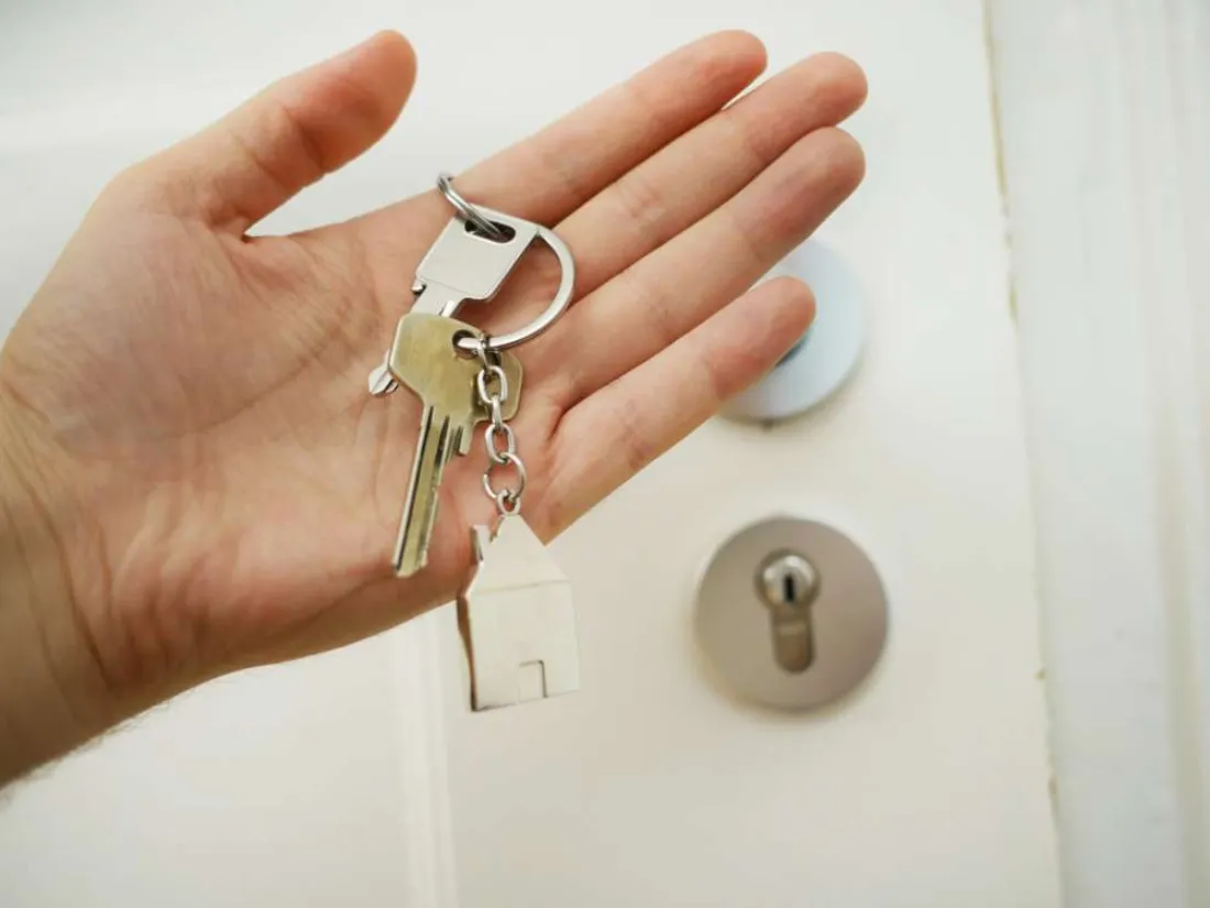 Expert Guidance in Your Property Journey